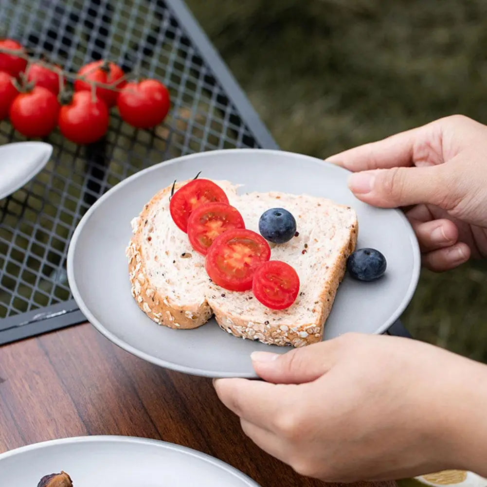 Titanium Camping Plates